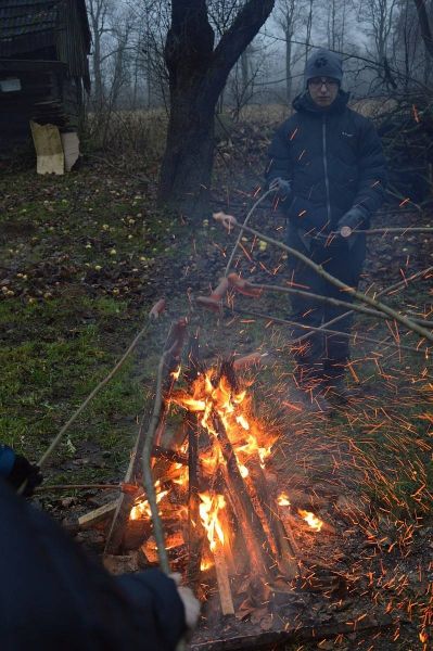 image283