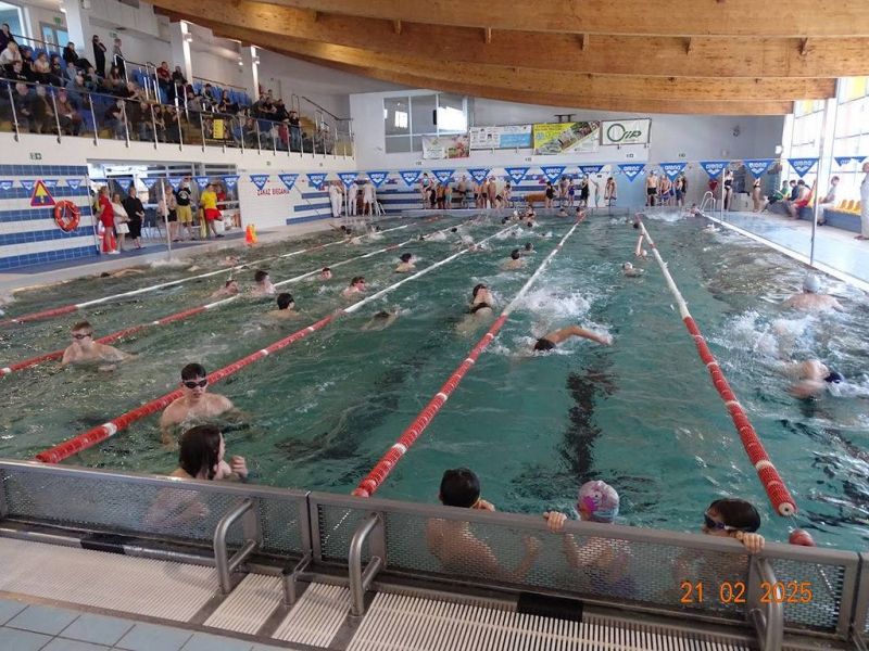 Image-000003