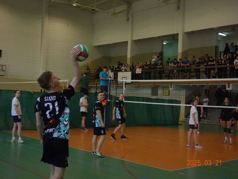 Image-000017