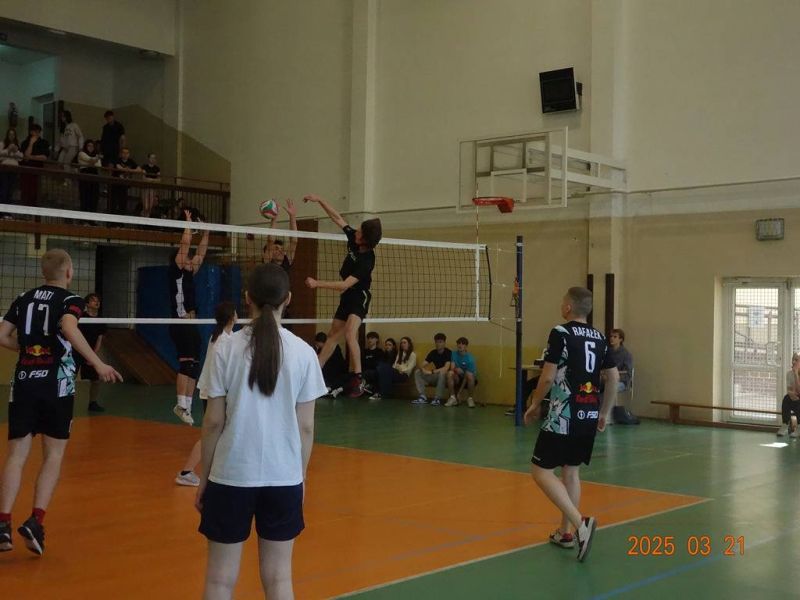 Image-000018