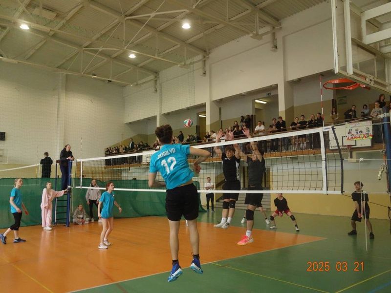 Image-000032
