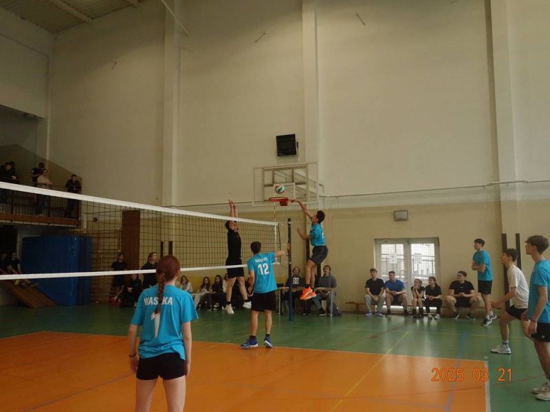 Image-000035